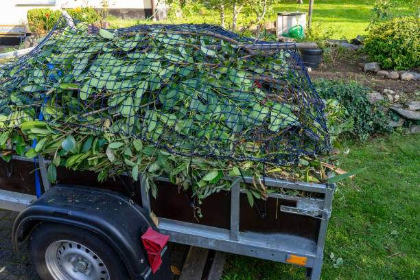 Best Hoarding Cleanup  in North Babylon, NY